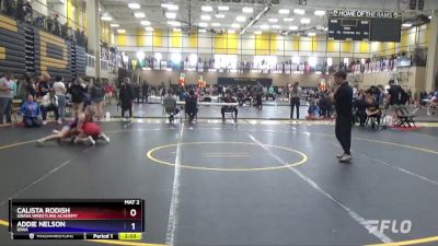 130 lbs Semifinal - Calista Rodish, Ubasa Wrestling Academy vs Addie Nelson, Iowa
