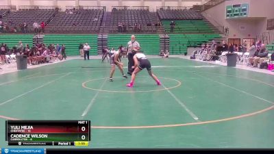 110 lbs Semis & 1st Wb (8 Team) - Yuli Mejia, Chestatee vs Cadence Wilson, Carrollton