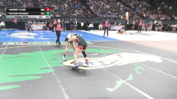 Cons. Semi - Audrey Cline, Franklin vs Taylor Ahlman, Battle Creek