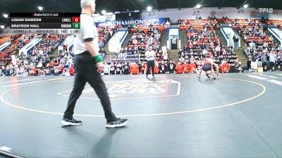 144 lbs Semifinals (8 Team) - Logan Dawson, Lowell vs Braydon Hall, New Boston Huron