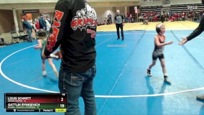 50 lbs Finals (8 Team) - Thor Picard, Dassel-Cokato-Litchfield vs Tanner Wolf, Grand Rapids