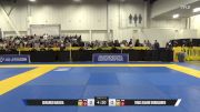Timo Juhani Viinikainen vs Gerardo Najera 2025 World IBJJF Jiu-Jitsu No-Gi Championship