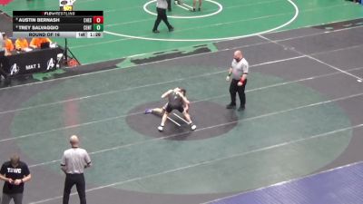 124 lbs Round Of 16 - Austin Bernash, Chestnut Ridge vs Trey Salvaggio, Central Dauphin