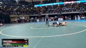 189 lbs Quarterfinal - Aj Tudela, Valdez High School vs Isaiah Mann, Homer High School Mariners