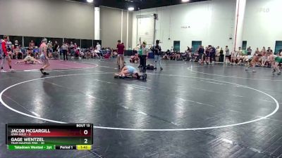 157 lbs Quarters & Wb (16 Team) - Gage Wentzel, Team Nauman Pink vs Jacob Mcgargill, Iowa Gold