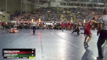 197 lbs Semis (4 Team) - Asher Ruchti, Southern Oregon vs Greyson Stevens, Cumberlands (Ky.)