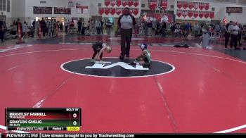 50 lbs 1st Place Match - Brantley Farrell, Team Nazar vs Grayson Guelig, MN Elite