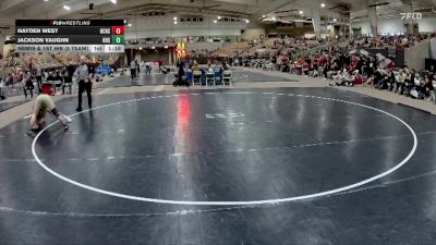 165 lbs Semis & 1st Wb (8 Team) - Jackson Vaughn, Houston High School vs Hayden West, Bradley Central High School