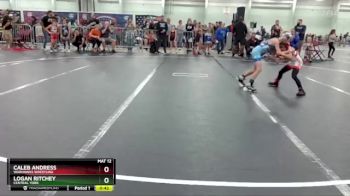 60 lbs Cons. Round 3 - Logan Ritchey, Central York vs Caleb Andress, Warhawks Wrestling