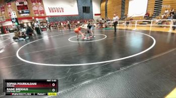 115 lbs Cons. Round 4 - Raine Brekhus, Cheyenne East vs Sophia Pourkaldani, Rawlins