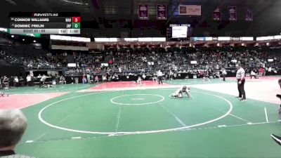 65 lbs Champ. Round 1 - Dominic Frelin, JRP1 vs Connor Williams, WAD1