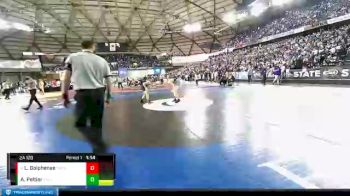 2A 120 lbs Semifinal - Lucas Golphenee, Washougal vs Aydin Peltier, Pullman