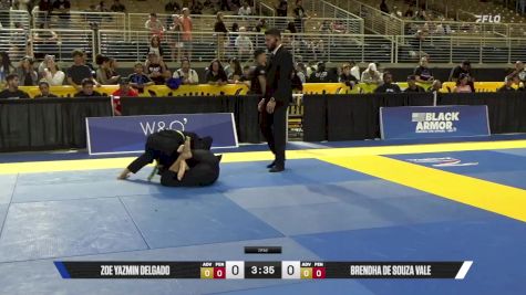 Brendha De Souza Vale vs Zoe Yazmin Delgado 2025 Pan Kids Jiu-Jitsu IBJJF Championship
