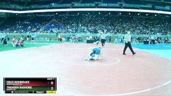 D2-132 lbs Champ. Round 1 - Trenden Bashore, DeWitt HS vs Cruz Rodriguez, North Branch HS