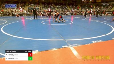 95 lbs Quarterfinal - Arav Pandey, American Dream Wrestling Club vs Nolan DeShon, Neighborhood Wrestling Club