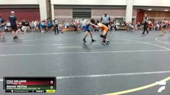 78 lbs Round 3 - Roman Mestas, Modern Warrior Wrestling Club vs Cole Williams, Unattached