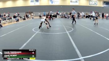 76 lbs Round 2 - Chase Gilbert, POWA vs Caleb Tsikerdanos, Warhawks Wrestling