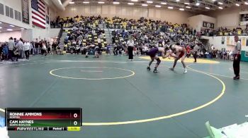 120 lbs Quarterfinal - Cam Haynes, NORTH ROYALTON vs Ronnie Ammons, NORTON