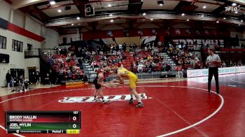 157 lbs Quarterfinal - Brody Hallin, Northern Illinois vs Joel Mylin, Missouri