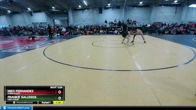 126 lbs Semifinal - Frankie Gallegos, Mesa Ridge vs Niko Fernandez, Pueblo East