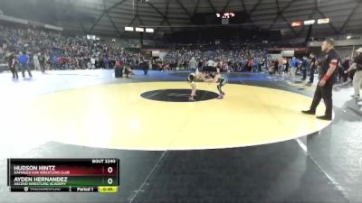 74 lbs Cons. Round 7 - Ayden Hernandez, Ascend Wrestling Academy vs Hudson Hintz, Damaged Ear Wrestling Club