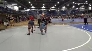 136 lbs Quarterfinal - Alina Antillon, Sons Of Thunder Academy vs Amitria Mcnack, Clinton Youth Wrestling