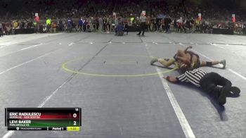 D2-126 lbs Champ. Round 1 - Levi Baker, Fowlerville HS vs Eric Radulescu, Huron HS - New Boston