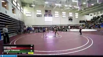 197 lbs Semifinal - Hunter Tobiasson, Adams St. vs Hayden Prince, Neb.-Kearney