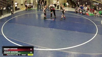 48 lbs Quarterfinal - Keagan Sanchez, Sanderson Wrestling Academy vs Brixon Haycock, CARBON