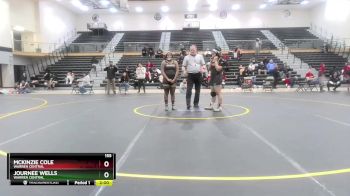 155 lbs 1st Place Match - McKinzie Cole, Warren Central vs Journee Wells, Warren Central