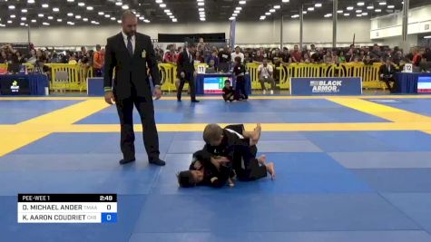 DAVID MICHAEL ANDERSON vs KAI AARON COUDRIET 2023 IBJJF Jiu-Jitsu CON International