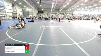 195 lbs Quarterfinal - Anthony Jackson, NJ vs Maximus Konopka, CT