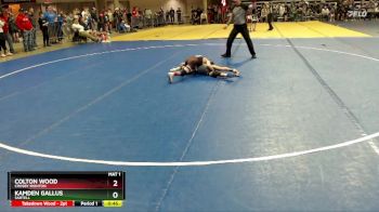 65 lbs Quarterfinal - Kamden Gallus, Sartell vs Colton Wood, Crosby Ironton