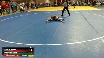 65 lbs Quarterfinal - Kamden Gallus, Sartell vs Colton Wood, Crosby Ironton