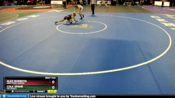 Quarterfinal - Alex Borboya, West Point-Beemer vs Cole Spahr, Tri County