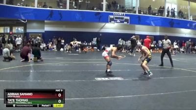 125 lbs Cons. Round 2 - Adrian Samano, Unattached vs Tate Thomas, Truett-McConnell (Ga.)