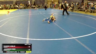 60 lbs Quarterfinal - Anderson Birk, Chisago City vs Xander Wiblin, Waseca