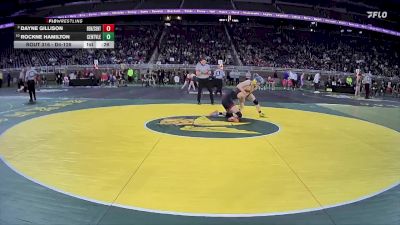 D4-126 lbs Cons. Round 3 - Rockne Hamilton, Centreville vs Dayne Gillison, Benzie Central