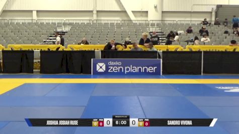 Sandro Vivona vs Duy Quang Nguyen 2025 World IBJJF Jiu-Jitsu No-Gi Championship
