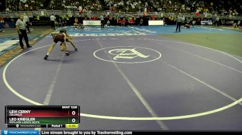 Cons. Round 2 - Leo Kriegler, Papillion-LaVista South vs Levi Cerny, Columbus