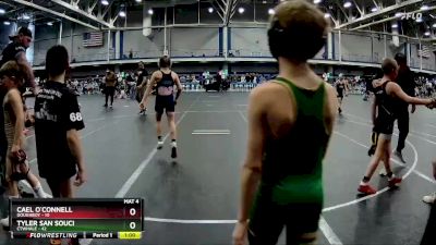 80 lbs Round 8 (10 Team) - Maddox Wilson, CTWHALE vs Jacob Mount, Doughboy