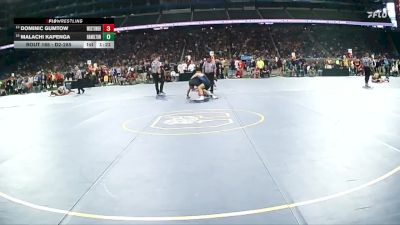 D2-138 lbs Quarterfinal - Dominic Gumtow, Warren Woods-Tower HS vs Malachi Kapenga, Hamilton HS