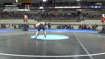 133 lbs Cons. Round 1 - Brian Melamud, Felician vs Anthony Sagaris, Lake Erie