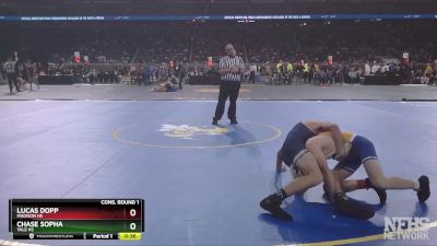 D3-113 lbs Cons. Round 1 - Lucas Dopp, Madison HS vs Chase Sopha, Yale HS