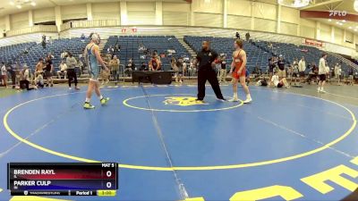 138 lbs Cons. Round 5 - Brenden Rayl, IL vs Parker Culp, IN