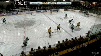 Replay: Home - 2025 Cougars vs Golden Hawks | Jan 3 @ 7 PM