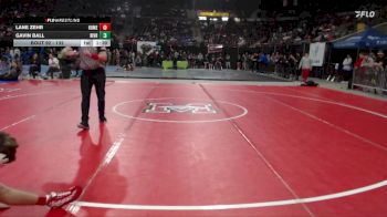 132 lbs Champ. Round 1 - Gavin Ball, Riverton vs Lane Zehr, Homedale