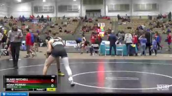 145 lbs Semis & 1st Wb (8 Team) - Blake Mitchell, Fairview vs Noah Murray, Greeneville