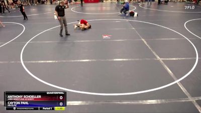 102 lbs Quarterfinal - Anthony Schoeller, JARO Wrestling Academy vs Cayton Pahl, MN Elite