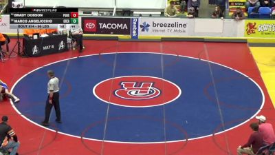 96 lbs Consi Of 16 #2 - Brady Dobson, Punxsutawney vs Marco Angelicchio, Greater Latrobe